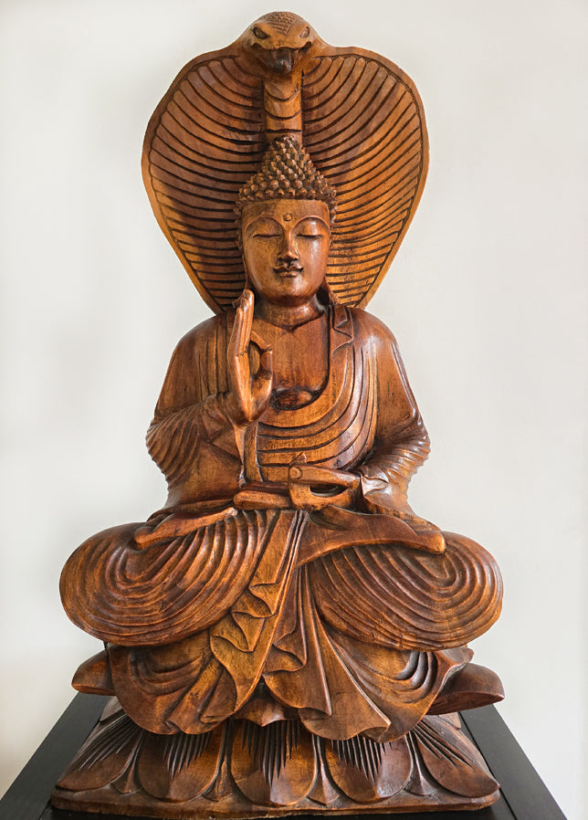 BALANIESE BUDDAH SERENITY COBRA