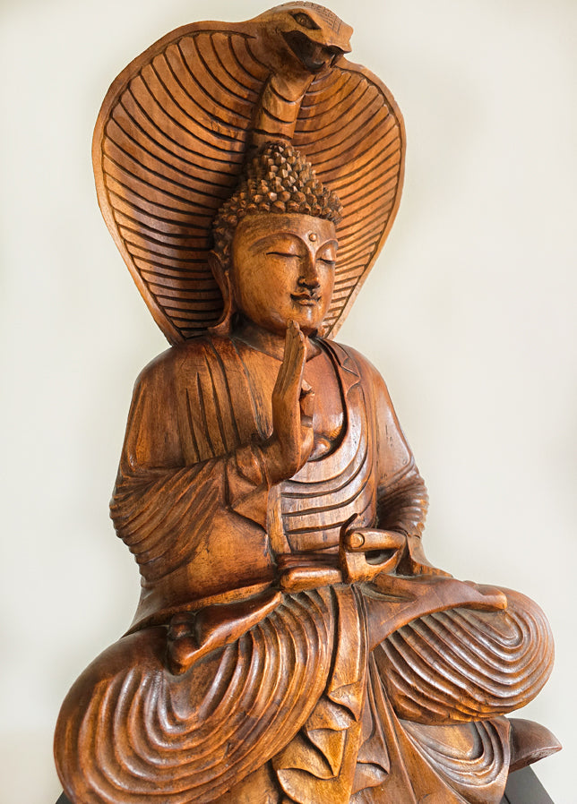 BALANIESE BUDDAH SERENITY COBRA